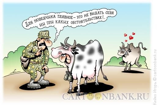 Смешные картинки разведчик