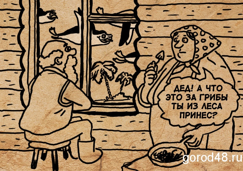 Юмор Про Грибы Картинки
