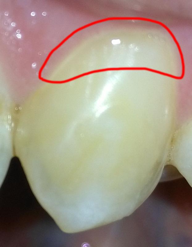 257270828_a24376465bd66876e75145496c85b0