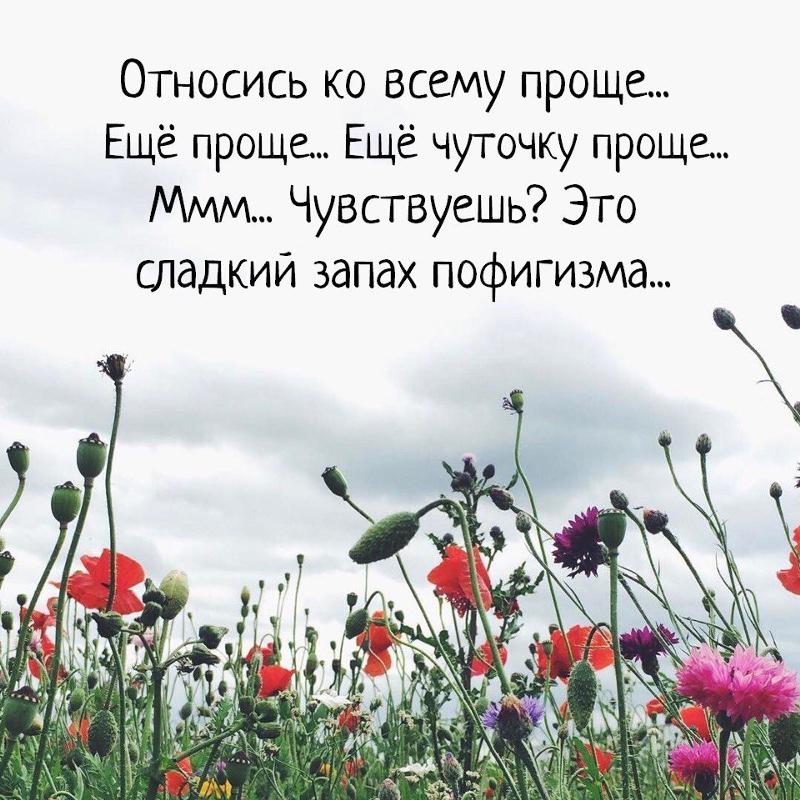 Сладкий запах пофигизма картинки