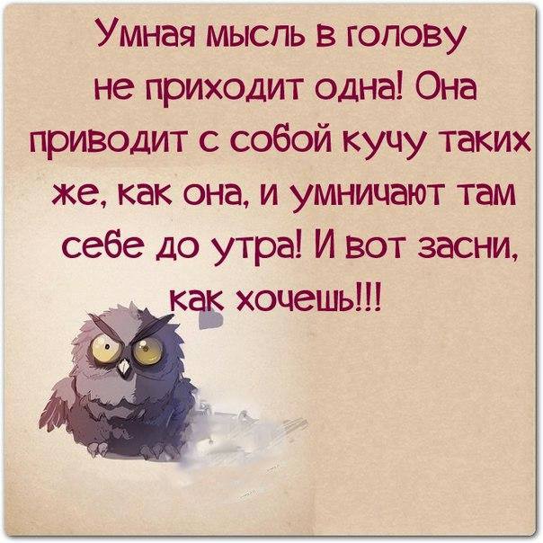 Для, умные шутки в картинках с надписями