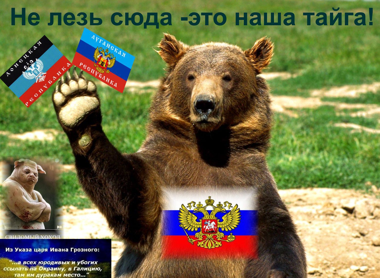 Цитаты юродивых. Указ ивана грозного. А всех юродивых и убогих ссылать на украину, там им дуракам место. Анекдоты про дураков. Там им дуракам место.