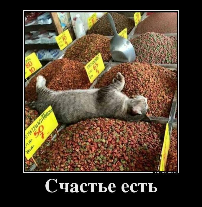Счастья больше не бывает. Цитаты про счастье прикольные. Счастья больше не бывает. Смешные фото с рыбалки. Счастья больше не бывает.