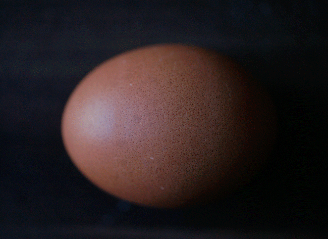Разбитое куриное яйцо. Яичный желток на белом фоне. Тарелка для яиц. Cracked egg adopt me. Лопнувшее яйцо.