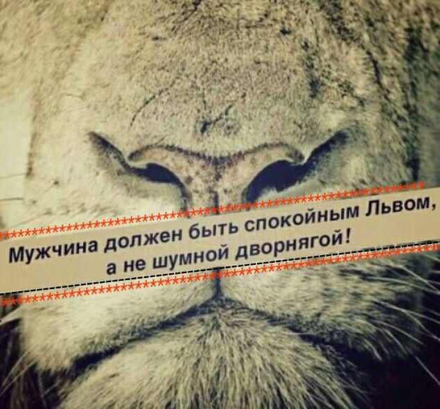 Картинки исламские со смыслом о любви с надписями