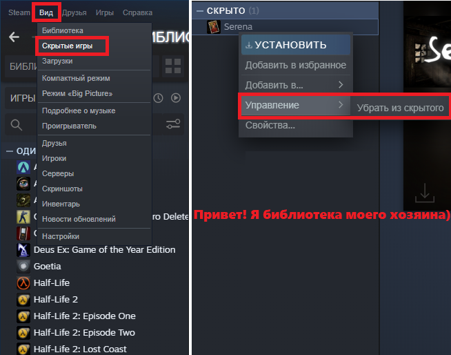 Что делает steam