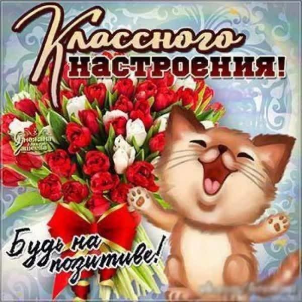 Любимому, пожелания хорошего настроения в открытках