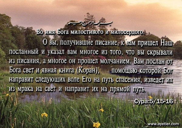 Попадут ли иудеи в рай, авита.ру москва отдам даром холодильник и как напрямую изменить обои в apple Попадут ли иудеи в рай