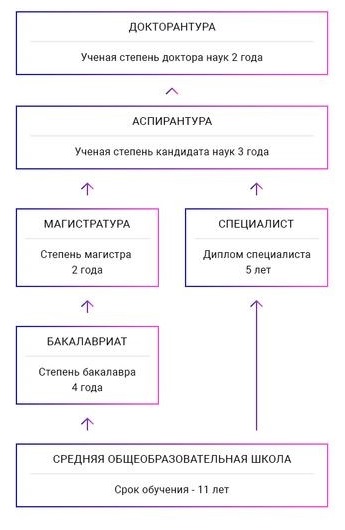 В РФ бакалавриат заменят программы специалитета - Рамблер/новости