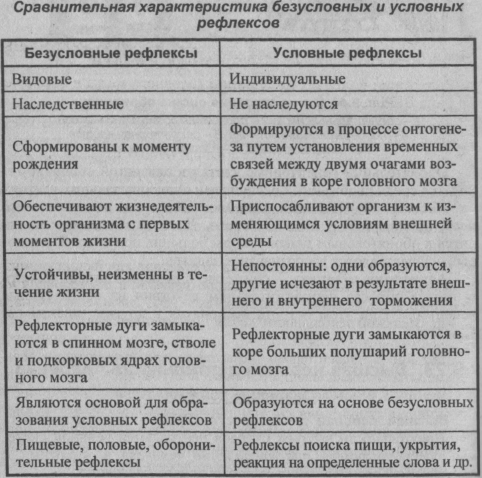 Условные рефлексы и их характеристика Условные рефлексы и их характеристика
