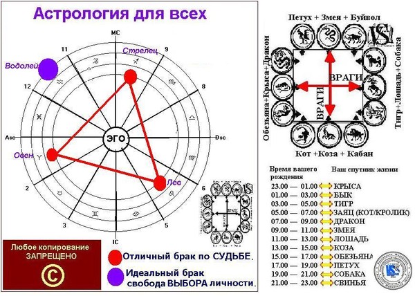 Будущие профессии знаков зодиака. Гороскоп "лев". Лев подходящие профессии. Гороскоп "лев". Стих про львов знак зодиака.