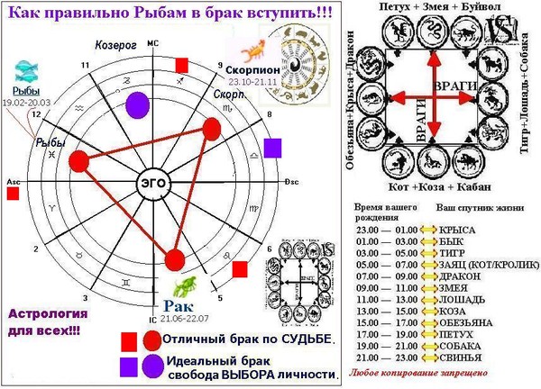 Женщина рак коза и мужчина весы дракон