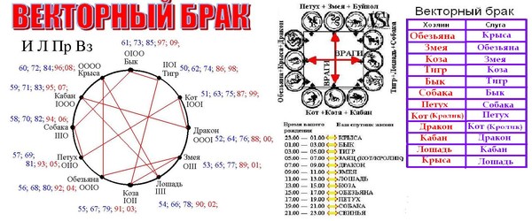 овен-кролик и скорпион-змея совместимость