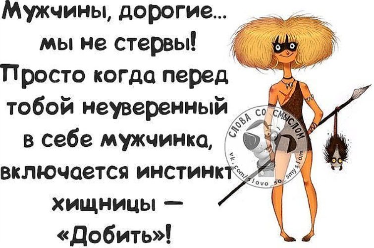 Открытка, приколы стерва в картинках