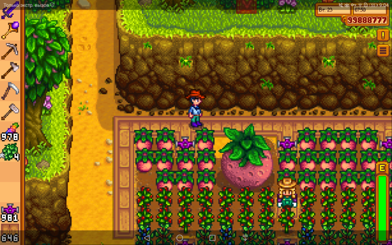 Stardew марлон. гигантская капуста stardew valley. дыня стардью валли. Stardew valley expanded оливия. дыня стардью валли.