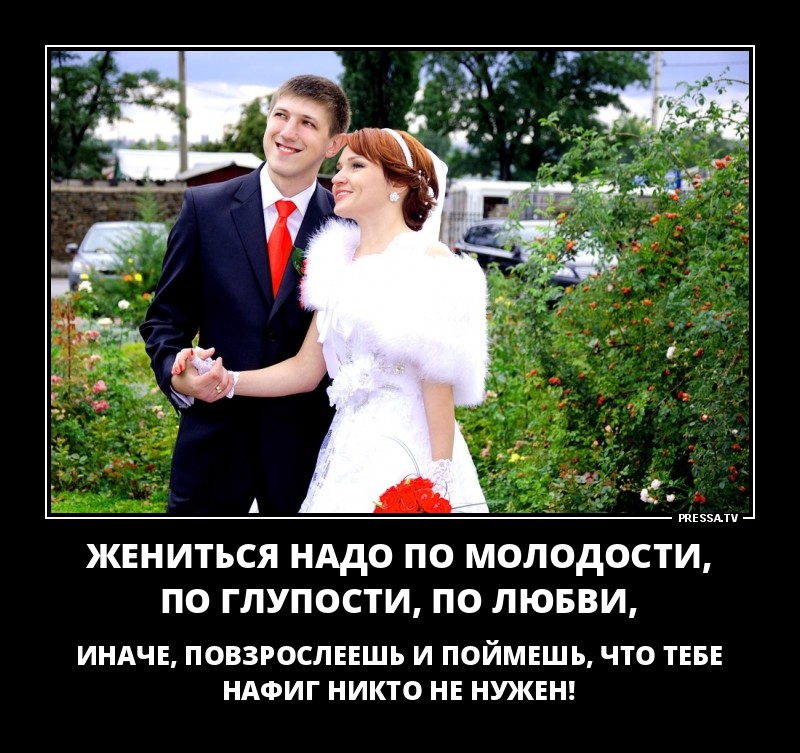 стихи зачем они женятся милая подозревает, что