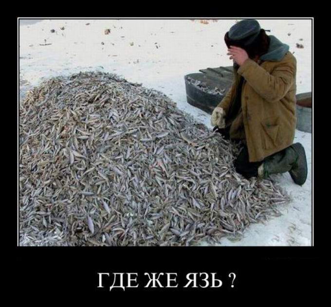 Картинки едем на рыбалку прикольные, картинки смыслом аву