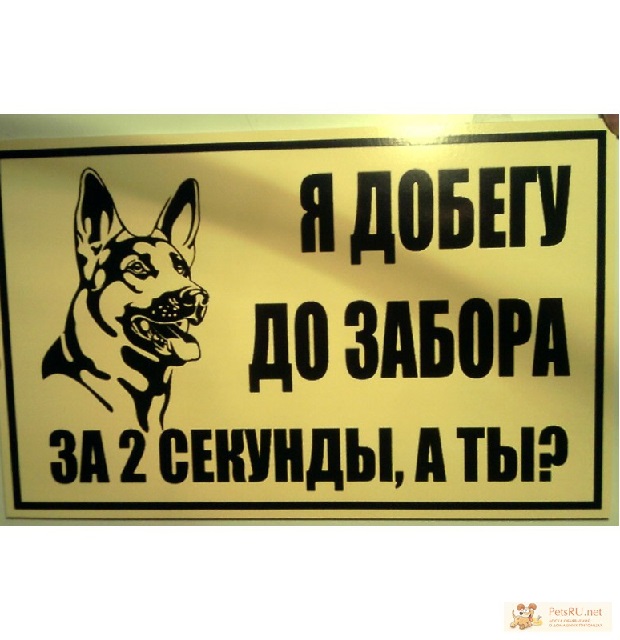 Картинки, осторожно злая собака смешная картинка