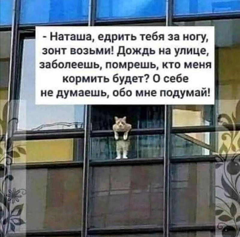 Ответы Mail.ru: Вас дома ждут..?