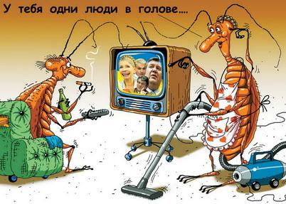 https://otvet.imgsmail.ru/download/27738747_dc7a2824abafa67bb3bdcf21f78de0ef_800.jpg