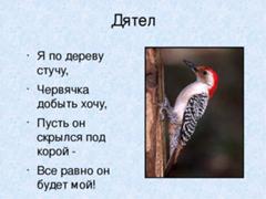 Вижу дятла дупло это словосочетание. Вижу дятла дупло это словосочетание. Дупло дятла. Вижу дятла дупло это словосочетание. Радуюсь тишине это предложение или словосочетание.