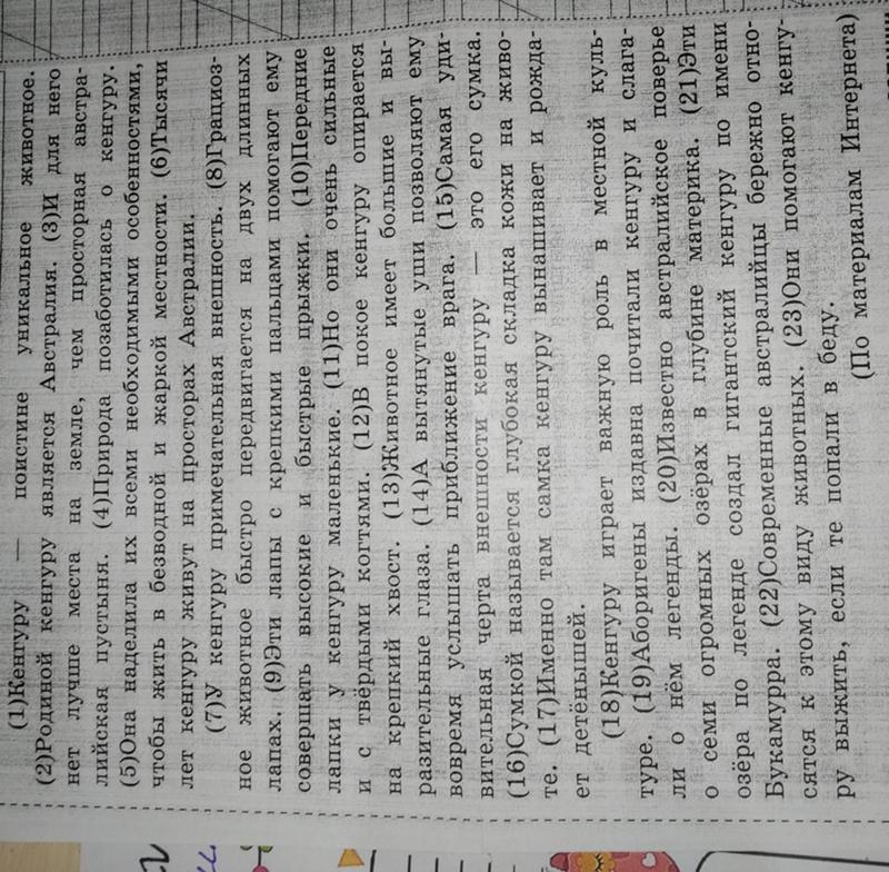 Австралия природа кенгуру. Кенгуру вида валлаби. Что расскажет кенгуру. Животные пустыни австралии кенгуру. Кенгуру рассказ.