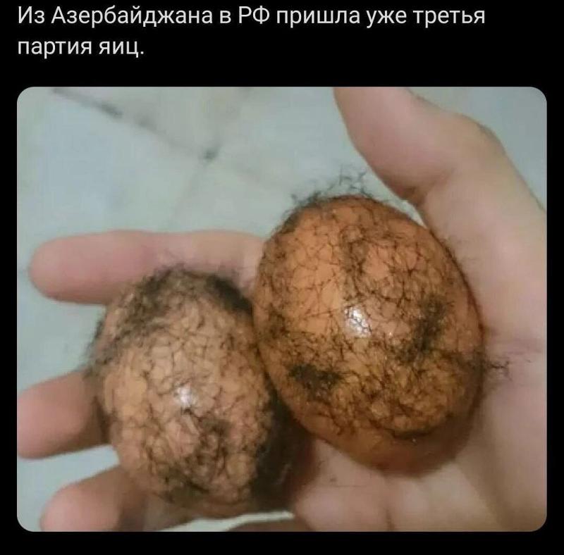 Как выглядит яйцо человека фото