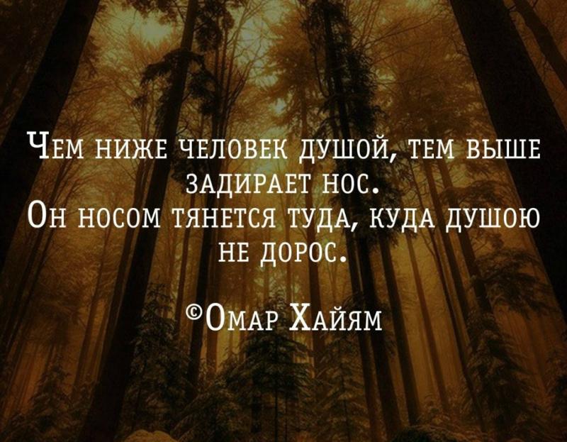Куда ты туда и он