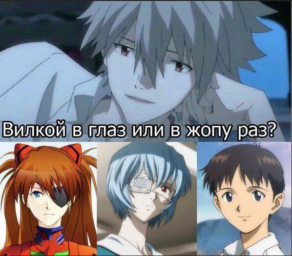 жопы педиков 