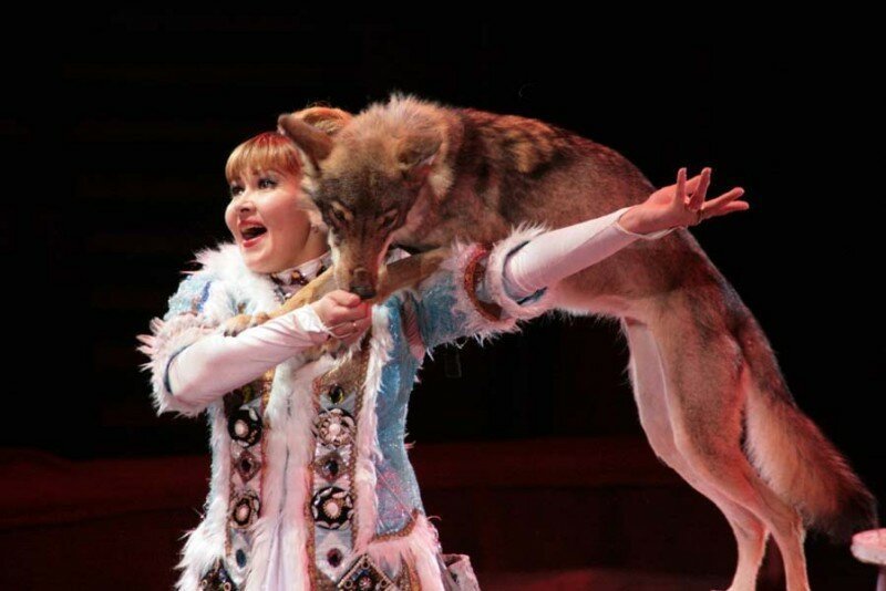 288073499_ec2cdc717304f82e7b440a49eef639