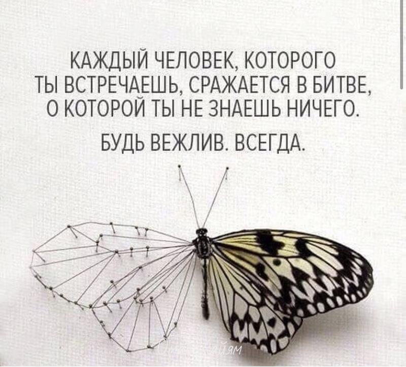 Жило было ничего не умело ничего. Каждый человек сражается в битве о которой ты. каждый человек которого ты встречаешь сражается в битве о которой. каждый сражается в битве о которой ты ничего не знаешь. каждый человек сражается в битве о которой ты не знаешь.