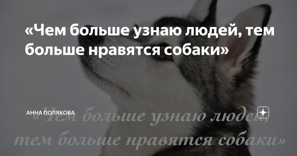 Ответы Mail: Как полностью преодолеть боязнь собак?