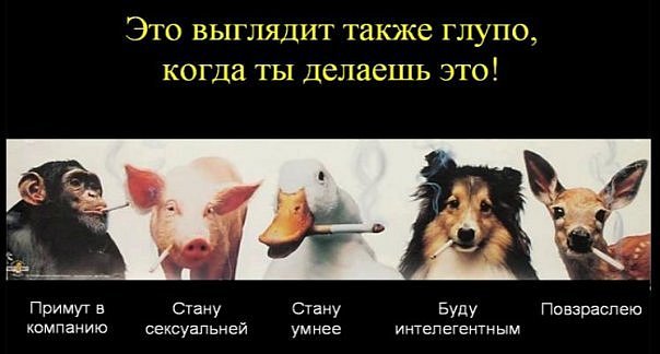Буду выглядеть как глупый