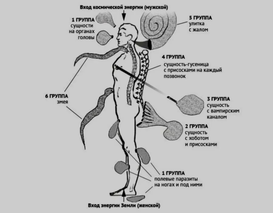 Энергетические астральные паразиты. Лярвы и сущности на теле человека. Энергетические сущности. Лярвы подселенцы астральные сущности.