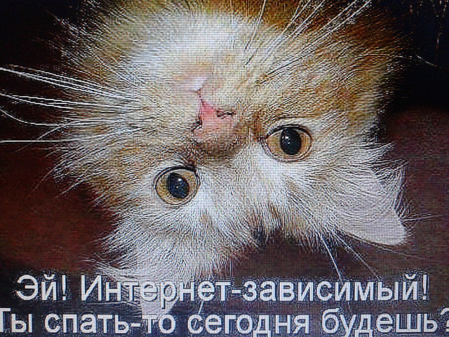 Горячий чай, открытки что не спиться