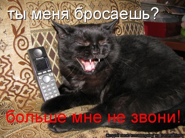 Видео, гифы не бросай меня