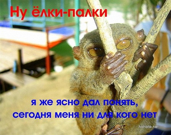 Открытки последний рабочий день перед отпуском картинки, самый