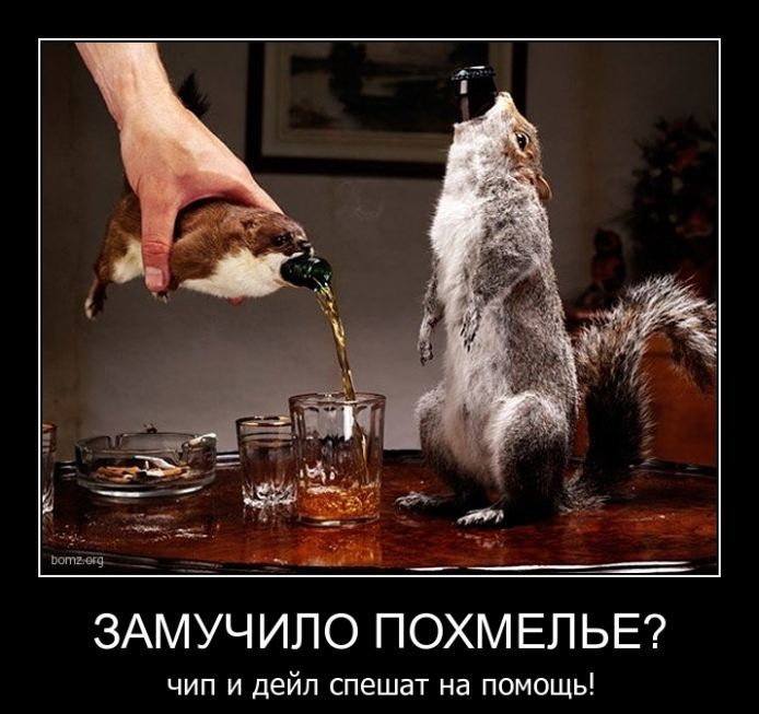 С днем похмелья мем