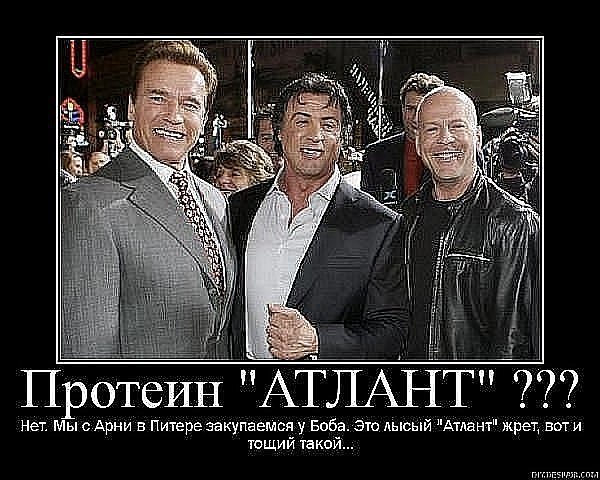 Приколы про протеин картинки