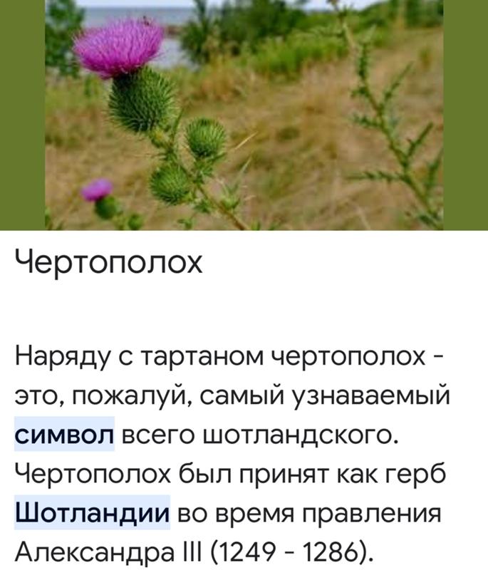 Ответы Mail.ru: А какое животное- символ Шотландии?=)
