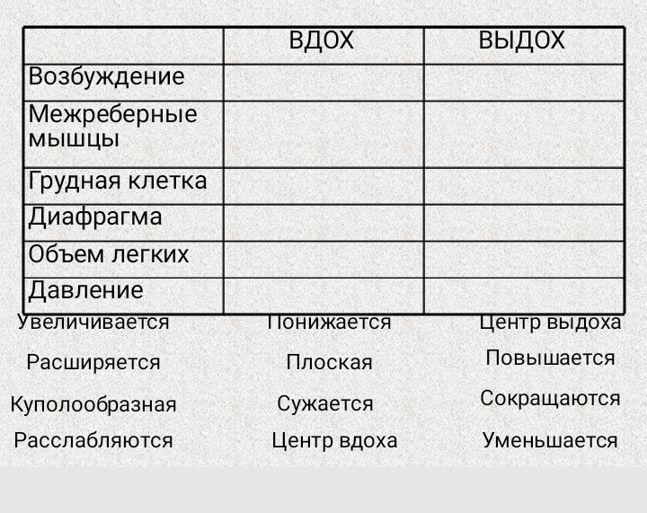 Заполнить таблицу дыхательные движения. Заполнить таблицу дыхательные движения