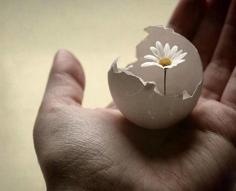 ОГУ - IX Студенческий фестиваль рекламы "Компот"