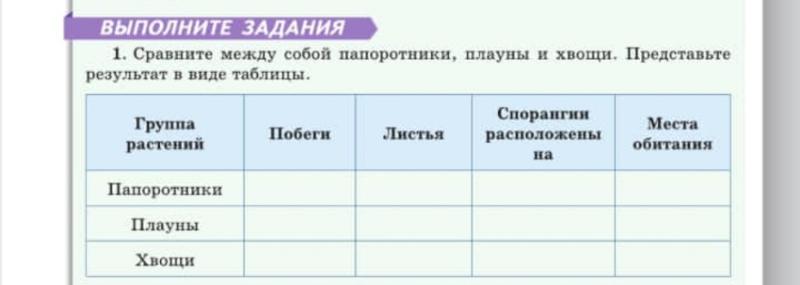 Таблица папоротники хвощи плауны 7 класс