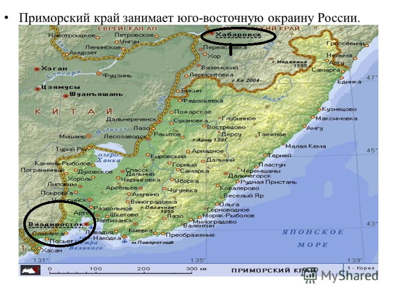 Хабаровске Край Каком Улице Купить Права