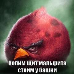Ответы Mail: Что означает сидим не рыпаемся, копим элик, и еще что ...