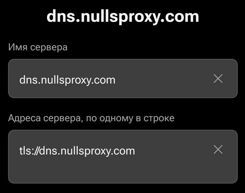 Ответы Mail: Какой ip адрес у dns.nullsproxy.com?