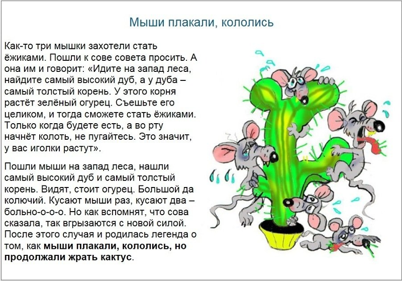 Мыши плакали но ели кактус. Мыши плакали, кололись, а кактус продолжали жрать. Ёжики плакали кололись но продолжали есть. Мыши плакали кололись. Кололись и плакали.