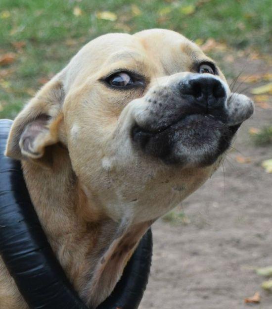 От улыбки станет всем светлей!:-) - DRIVE2