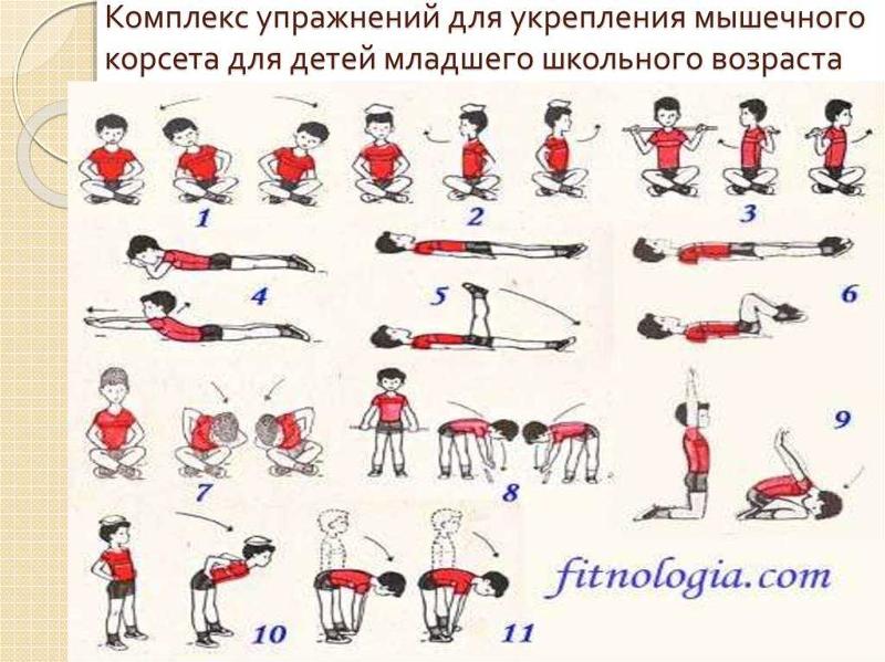 Упражнения для укрепления мышц спины ребенка. Гимнастика для детей 4 лет на укрепление мышц спины. упражнения для укрепления мышечного корсета для детей. комплекс упражнений для укрепления спины для детей 7 месяцев. упражнения лфк для укрепления мышц спины для детей.