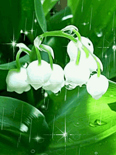 Picture background